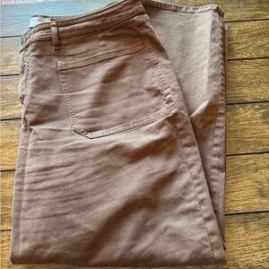 Lane Bryant Brown Pants